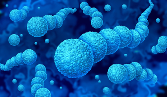 日上千人染「食人菌」奪250命 3建議防感染