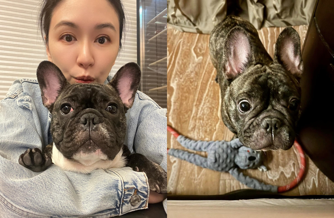 蔡依珊晒出家中爱犬憨憨照片。（图／翻摄自蔡依珊脸书）
