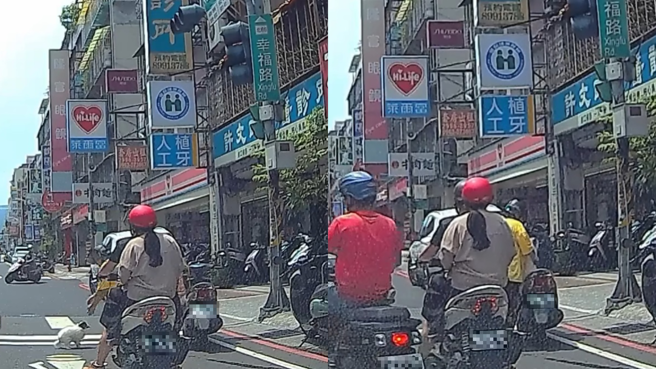 宠物犬跳车不受控（左图），骑士竟当场把狗狗塞进机车置物箱（右图），引起讨论。（图／翻摄自脸书「爆料公社」）