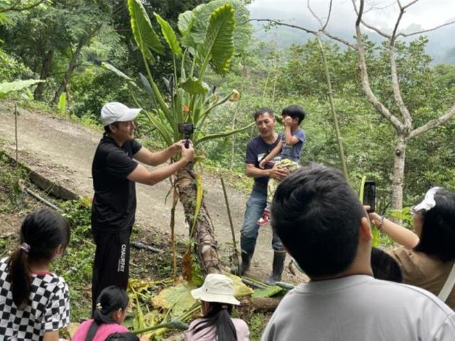泰安数位机会中心（泰安DOC）教师刘仁善选择一株姑婆芋为标的制作捕鸟陷阱。（苗栗县政府提供／谢明俊苗栗传真）