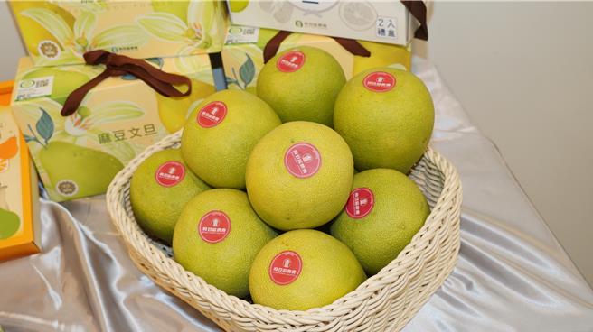 麻豆文旦进入运销期，农会希望尽速将优质文旦配送到全台各地。（宝智华摄）