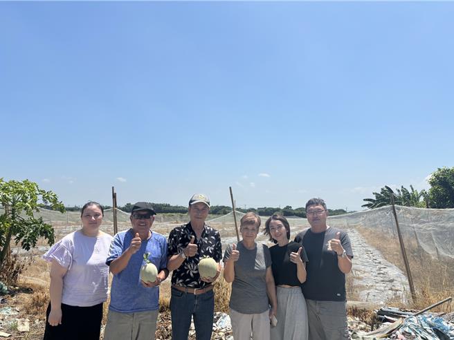 桃园市新屋区的哈密瓜，甜度高、口感佳，新屋区农会今年举办哈蜜瓜评鑑活动，冠军得主由去年「最甜密瓜王」谢阿启获得，他专研耕种哈密瓜超过30年，希望将新屋特色哈密瓜推向国际，他也公开哈密瓜种植撇步及挑选瓜果秘诀，网纹要粗且密集，口感与甜度最佳。（谢阿启提供／廖姮玥桃园传真）