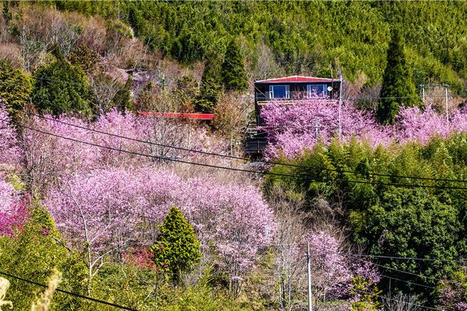 国土法对「原住民族聚落」虽以3户以上划设农4，县府原民处长云天宝指2户以下「散居」住户权益，原民会将另订「原住民族土地使用规则」保障，并拥有「聚落」同等土地使用权益。（罗浚滨摄）