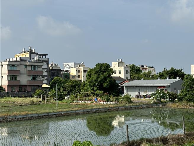 彰化縣大村鄉大橋農村社區土地重劃案5.62公頃內總計有60筆土地。（孫英哲攝）