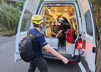 石碇8人登山隊遭虎頭蜂圍   3人螫傷送醫1男身中10餘針