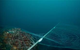 南方四島國家公園底刺網違規？內政部明起加強巡查