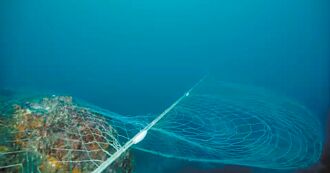 南方四島海域驚見底刺網 挨批
