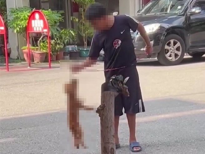 台中東區傳出小朋友虐狗事件，民眾在網路上傳虐狗影像求助指出，該男童疑似到處抓狗虐狗，影片中他對1隻紅色貴賓狗施虐，徒手抓嘴、拉牽繩吊起狗頸把玩。警方28日到場了解，已確認影片中男童身分，並聯繫父親下班後說明，通報動保處處理。（民眾提供／陳淑芬台中傳真）