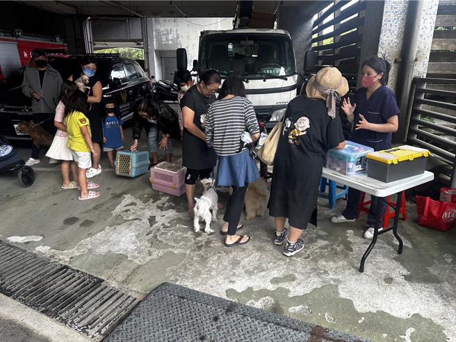 動物行動醫療站迄今已滿5年，累積服務5253隻動物。（新北市動保處提供）