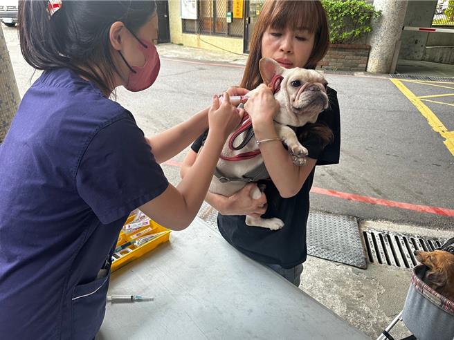 動物行動醫療站提供狂犬病疫苗注射、寵物登記、一般門診、除蚤驅蟲等服務。（新北市動保處提供）