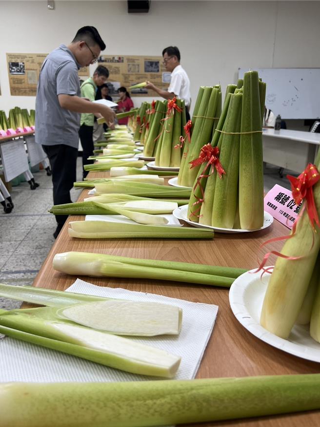 埔里镇水质好且水资源充沛，盛产俗称「美人腿」的茭白笋，产量3万多公吨占全台第一。（杨静茹摄）