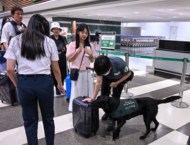 移民署宣導防堵非洲豬瘟來台。（示意圖／中時資料照）