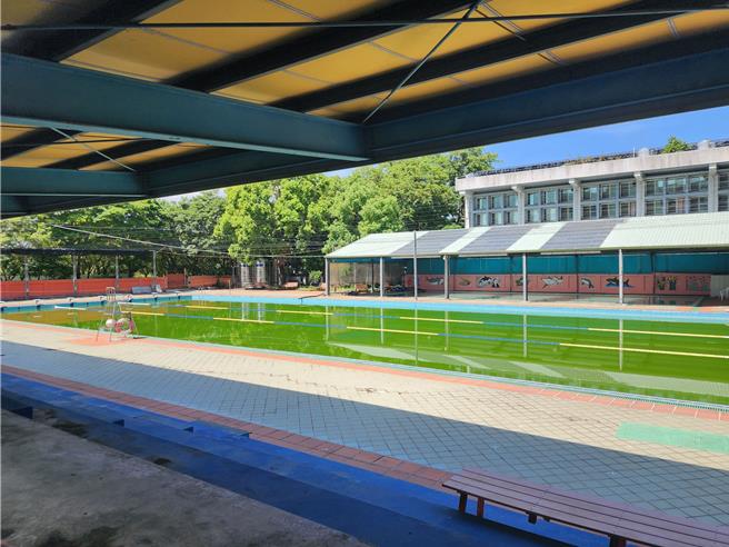 草屯镇立游泳池16日才开幕，成人池水质却出状况，整池绿油油，业者盼镇公所协助改善水质。（民眾提供／杨静茹南投传真）