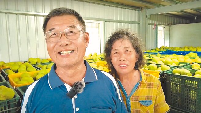 第10屆台南文旦大賽獲獎名單27日出爐，獲特等獎的王錦秀（右）與丈夫馮榮昌（左）栽種文旦約22年，兩人昨日接獲得獎消息時，既驚訝又開心。（讀者提供／張毓翎台南傳真）