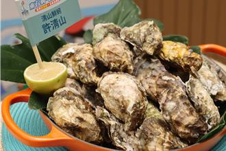 越南蚵侵台混充猖獗 嘉義推溯源制度打造東石蚵品牌