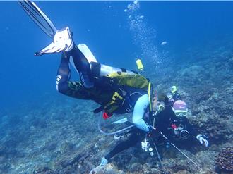 首批東沙「突棘隊」今返航 移除逾4千隻棘冠海星