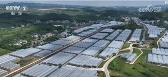 大數據灌溉傳統種植  推升陸農業生產現代化