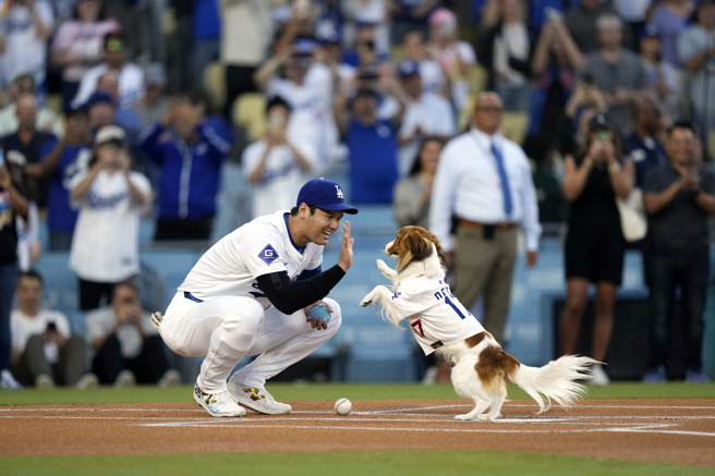 影》最萌開球！大谷抱愛犬Decoy現身 超狂人龍瘋搶公仔 - 體育