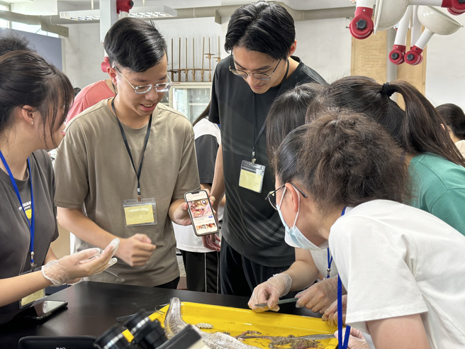 员林高中学生在实验中发现鱼虱，并与志工讨论寄生虫特性。（照片/中山医药大学提供）