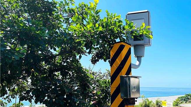 測速相機鏡頭因路樹枝葉屏蔽，部分駕駛人心生僥倖超速，台東縣警察局交通隊已派員修剪路樹枝葉。（蕭嘉蕙攝）
