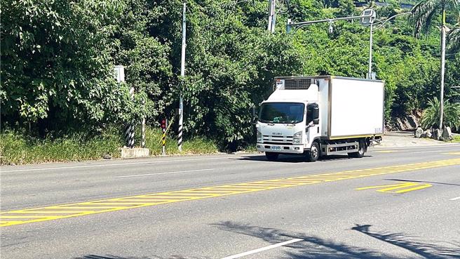 設置於台9線385.38K（北里段）南下方向的測速相機，因藏身樹欉被戲稱為「森林相機」，目前處於待機狀態。（蕭嘉蕙攝）
