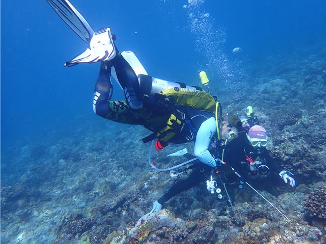 國家公園署提供