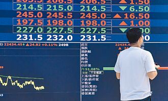 台股科技股基金 沾苹果光