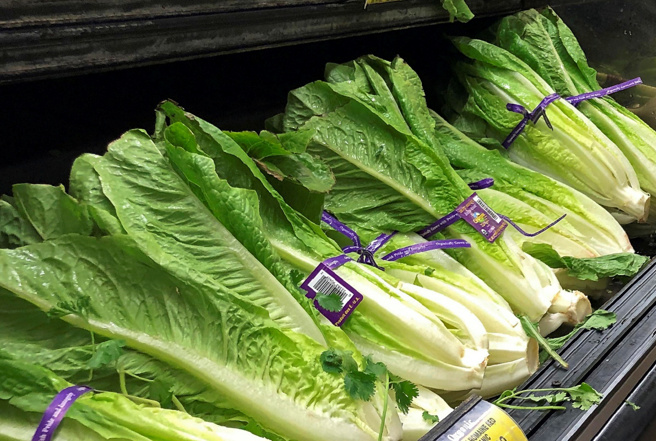 厨师建议，生菜买回家后要先浸泡、清洗、擦乾、再冰冰箱，如此可延长保鲜7天。图为超市里的萝蔓莴苣。（美联社）