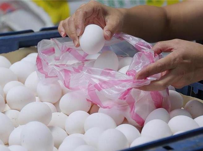 农业部去年专案採进口蛋衍生不少争议，监察院将在今日下午提出调查报告，纠正农业部。（本报资料照片）