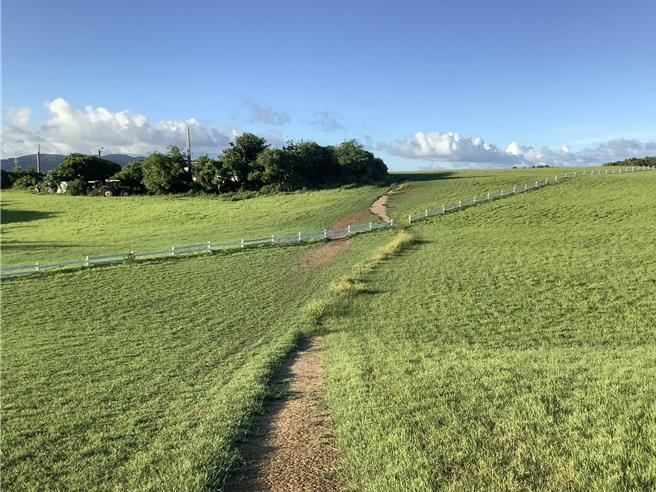 垦丁国家公园内被沙滩车业者压出一条条的「黄土拉炼」，地貌遭严重破坏。（垦管处提供／罗琦文屏东传真）