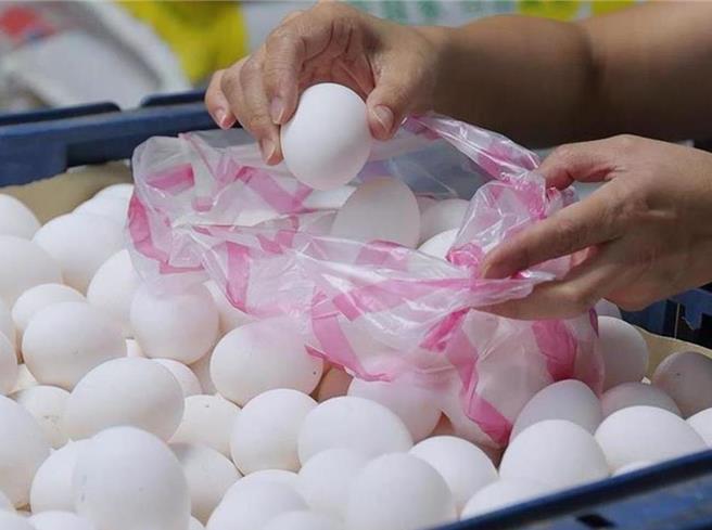 农业部去年专案採进口蛋衍生不少争议，监察院将在今日下午提出调查报告，纠正农业部。（本报资料照片）