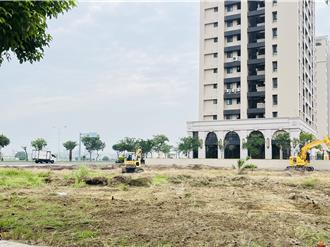 台南婦人噴除草劑遭罰 市府失言透漏檢舉人惹怒里長