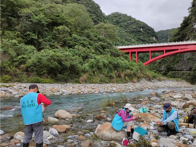 太管處結合保育志工，到砂卡礑溪生態監測調查。（太管處提供／王志偉花蓮傳真）