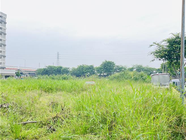 南科特定区还有很多未使用空地，杂草丛生，管理不易。（民眾提供／宝智华台南传真）