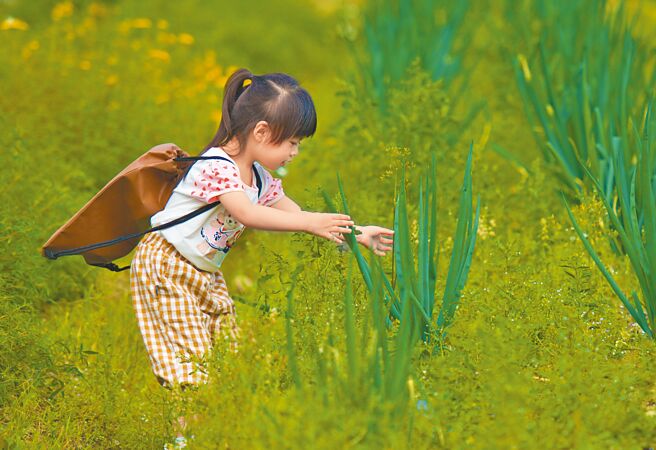 香草生態花園內有各種植物能啟發無盡的想像，從中獲得健康及療癒的能量。（業者提供）