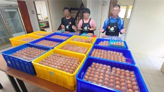 畜牧場雞蛋震後遇銷售困境 花蓮「蛋蛋傳愛」盼社會伸援手