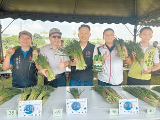 韭菜花季揭幕 大溪農會邀民共賞