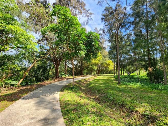 桃园市大汉溪山猪湖生态亲水园区，导入具有调节温度、透气保水的「固化土铺面」材质，藉此降低铺面环境温度。（桃市水务局提供／吕筱蝉桃园传真）