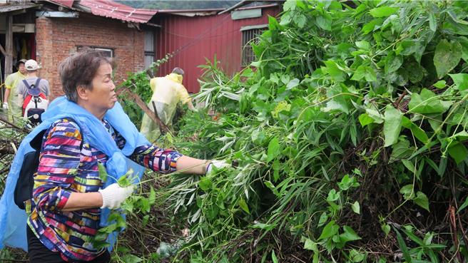 新北市農業局鼓勵市民朋友以雙手清除外來入侵種植物，共同守護美麗的家園。（新北市農業局提供）