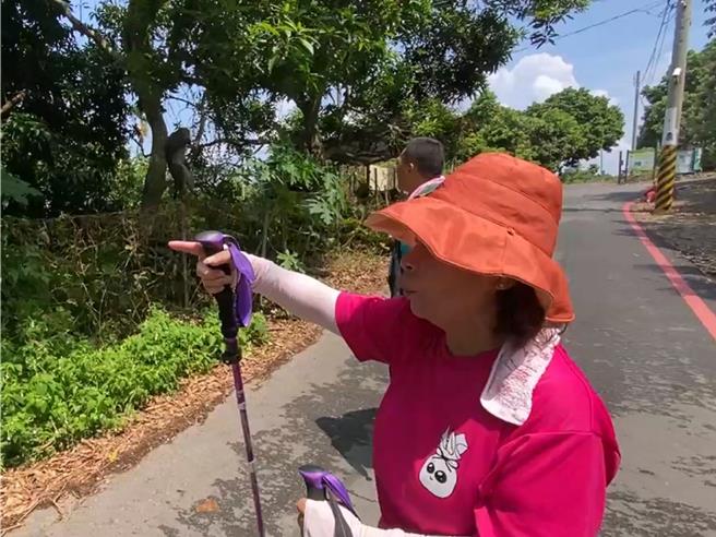 彰化县社头乡八卦山脉地区惊见猴群出没，登山民眾保持距离观看。（萧姓民眾提供／孙英哲彰化传真）