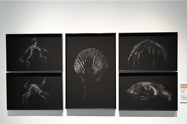 「宜兰奖」由张志达所创作「你在找我吗？」摄影作品获得。（宜兰县政府提供／吴佩蓉宜兰传真）