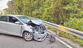 北宜路車禍 犬暴衝害騎士骨折