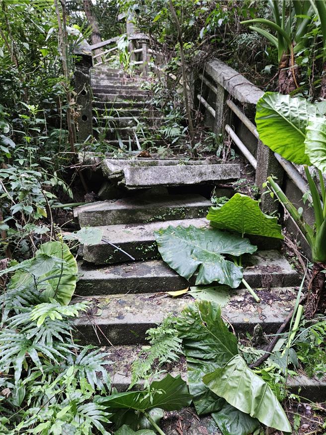 曾是台湾第一处文学步道的基隆天鹅洞，因为年久失修，早年兴建的环碧楼亭台又因为地震崩坏，预计将于明年2月完工。（基隆市政府提供／张志康基隆传真）