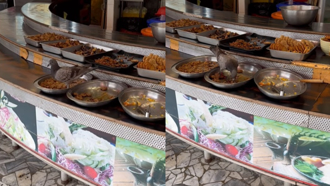 高雄「人禽味」？鴿子闖自助餐狂吃 客人全看傻眼