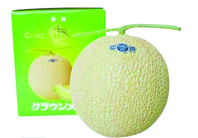 city’super靜岡縣哈密瓜單顆，2580元。（city’super提供）