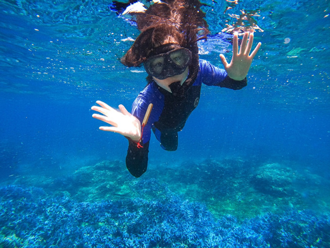 澎湖縣農嶼海青年創生協會帶領學員觀察東嶼坪珊瑚礁。(照片/教育部提供)
