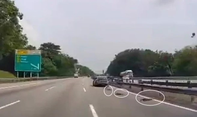 馬國野生猴群衝入國道，讓駕駛反應不及只能狠心輾過。（圖／翻攝X）