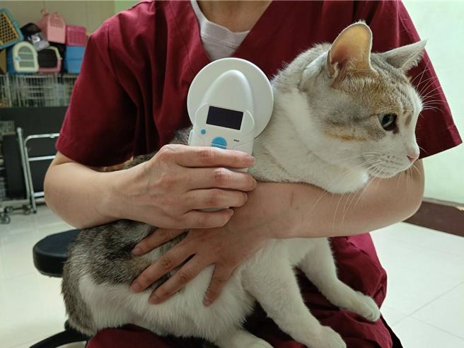 新北市动保处即日起至年底将办理百场免费施打晶片、宠物登记、狂犬病疫苗活动。（新北市动保处提供）