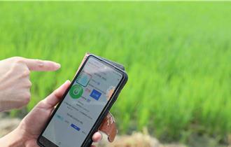 在家就能巡田水！智能水稻系統減少農民往返 產量增10％