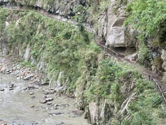 內政部：國家公園將每季公布增匯減碳進度